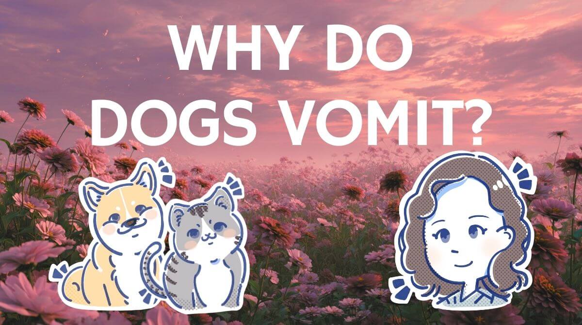 獣医師ミサが教える！わんちゃんが吐いちゃう理由と対処法は？ 