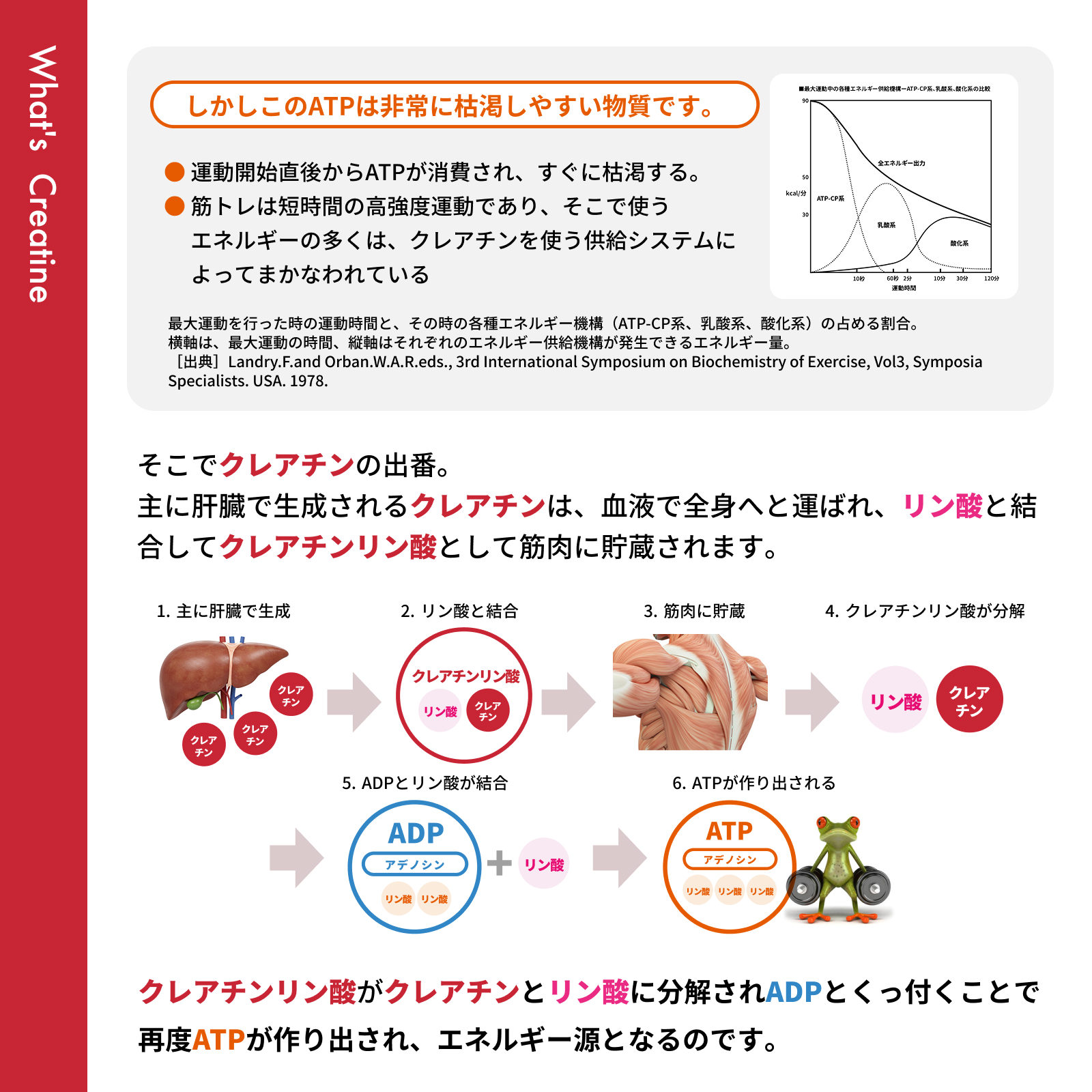 クレアチン チュアブル 90粒 レモン