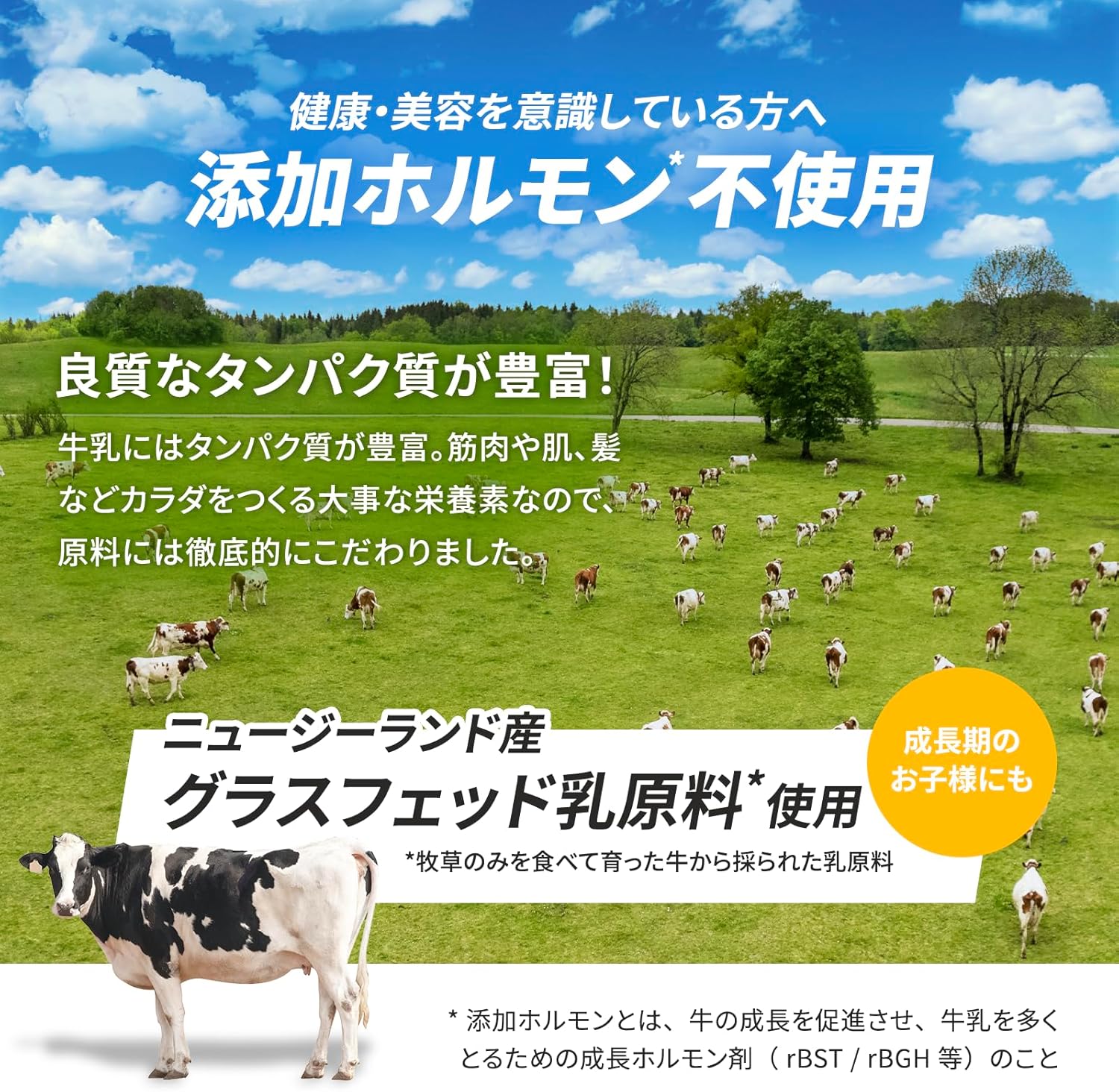 『初回限定』【定期】WPC（ホエイプロテイン） 味（WPC）: プレーン