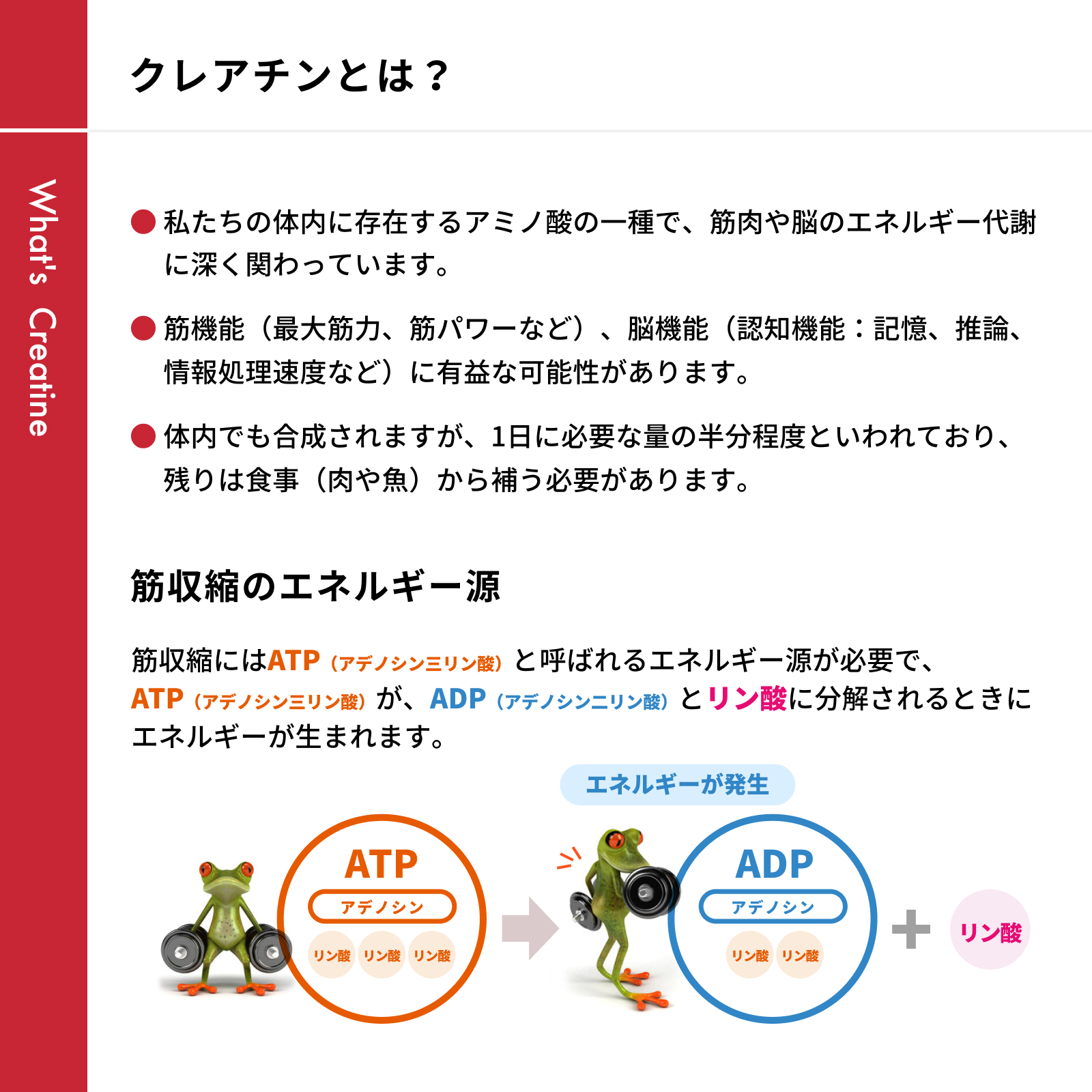 クレアチン チュアブル 90粒 レモン
