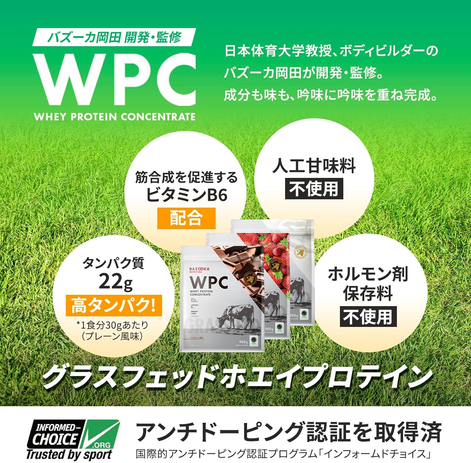 『初回限定』【定期】WPC（ホエイプロテイン） 味（WPC）: プレーン
