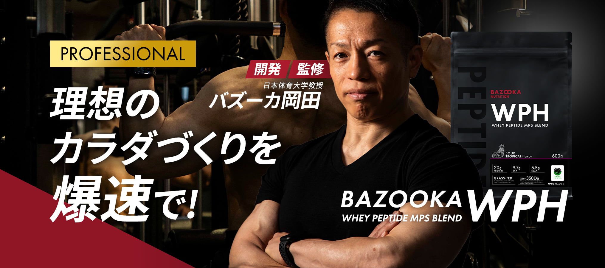 【Professional】WPH - Whey Peptide MPS Blend