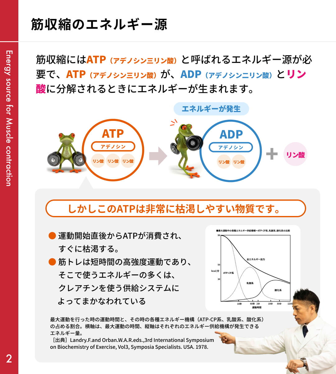クレアチンとは｜バズーカ岡田特別講義 スライド2