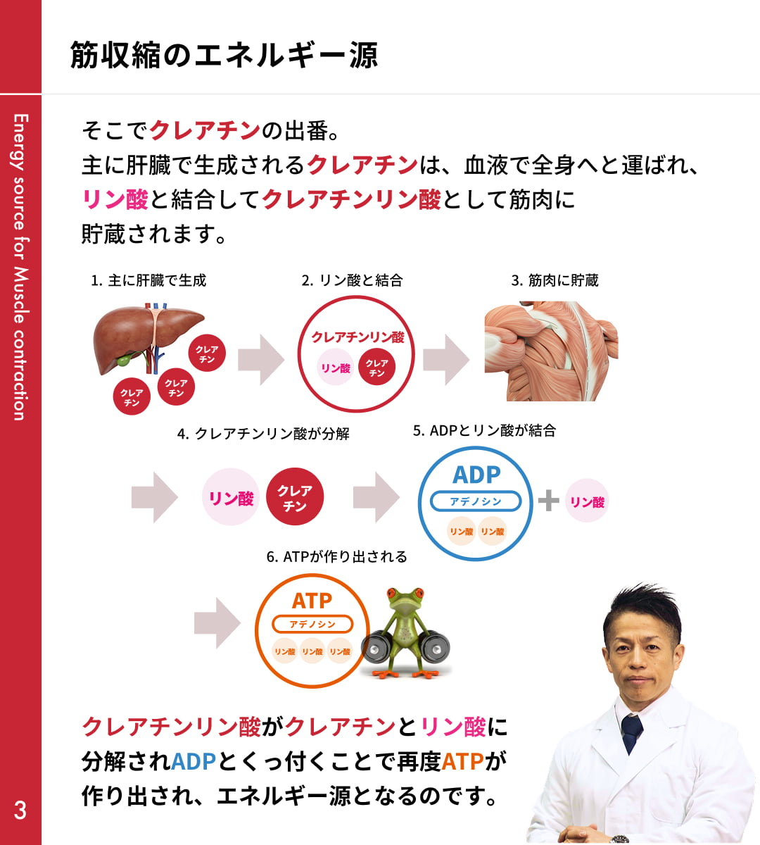 クレアチンとは｜バズーカ岡田特別講義 スライド3