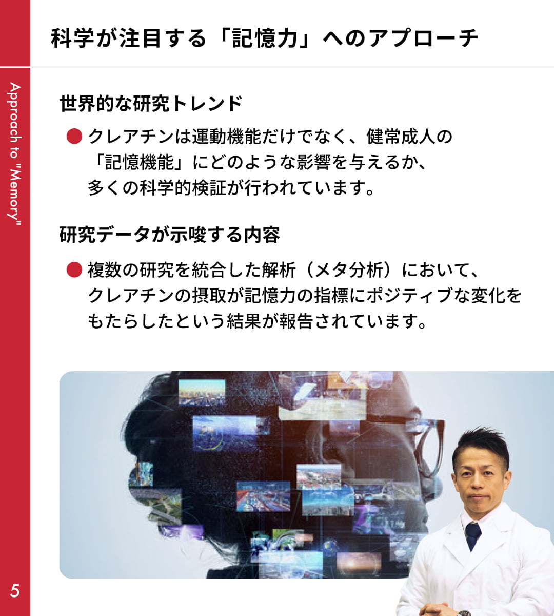 クレアチンとは｜バズーカ岡田特別講義 スライド5