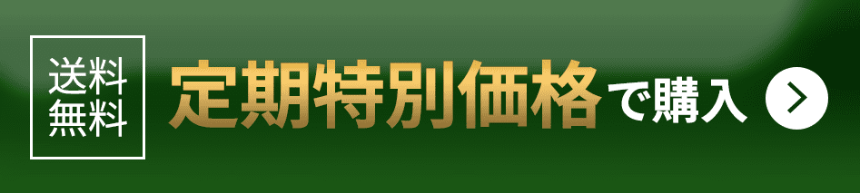 初回半額で購入する