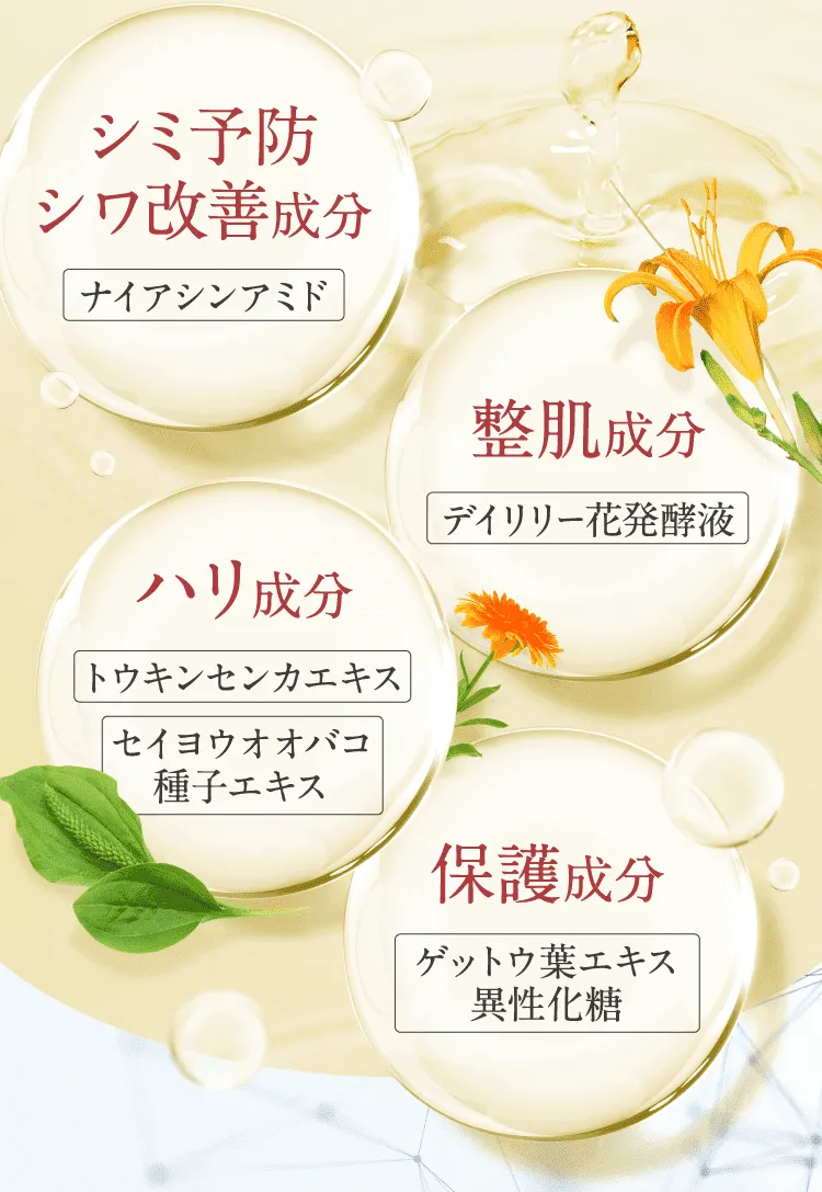 シミ予防シワ改善成分ナイアシンアミド 整肌成分デイリリー花発酵液 ハリ成分トウキンセンカエキス セイヨウオオバコ種子エキス 保護成分ゲットウ葉エキス異性化糖