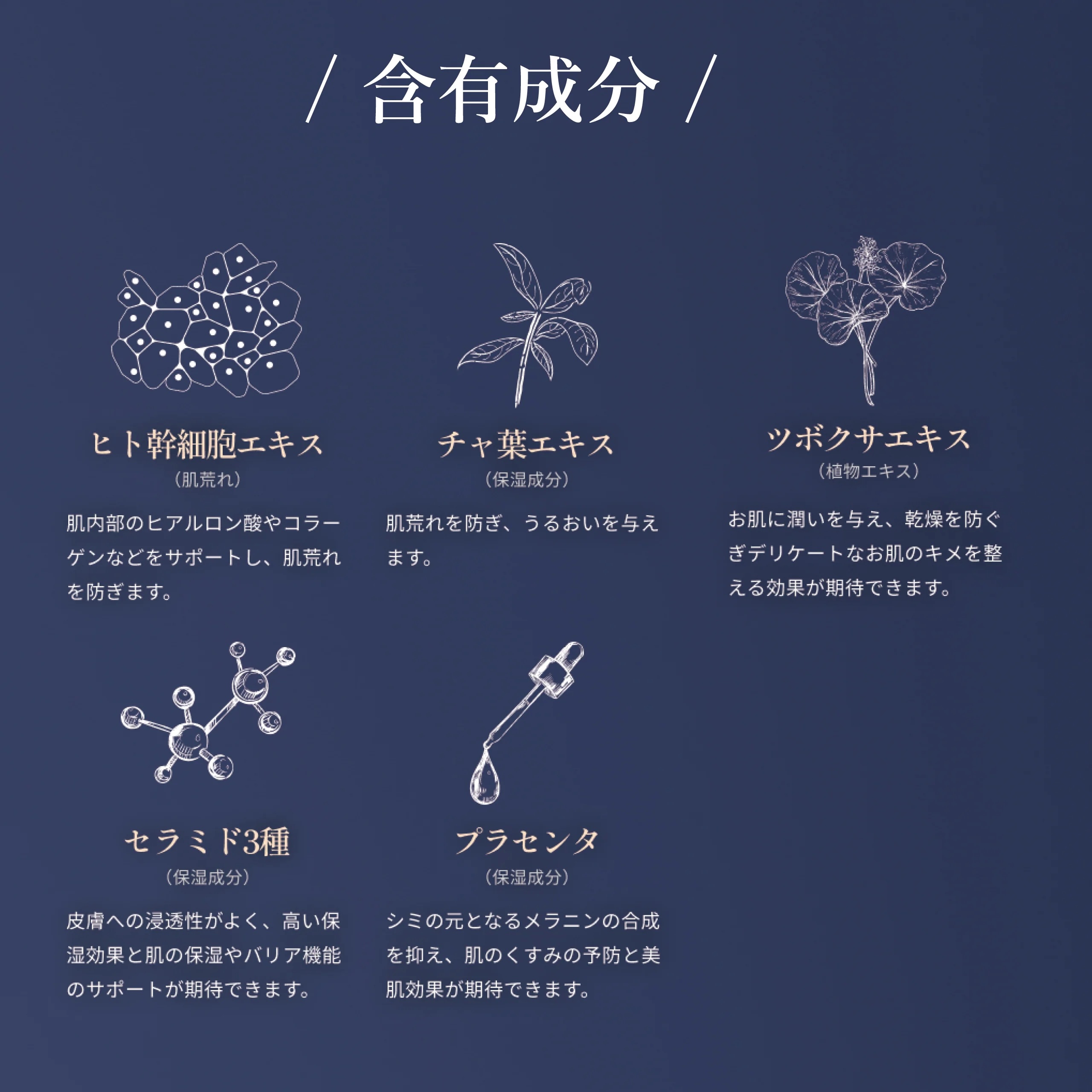 EVA ILLUMINARE DERICATE BODY CREAM /エヴァイルミナーレデリケートボディークリーム