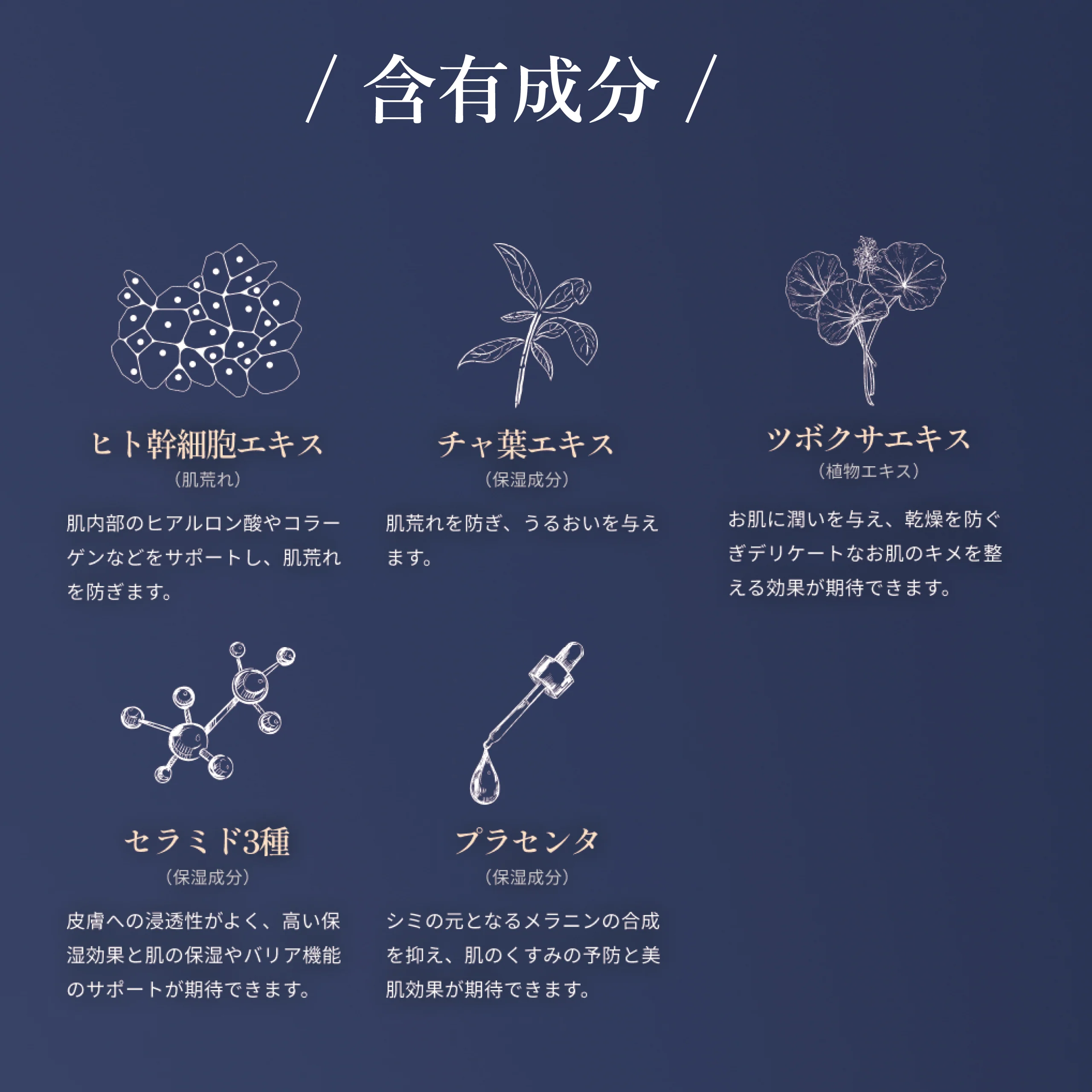 配合成分イメージ