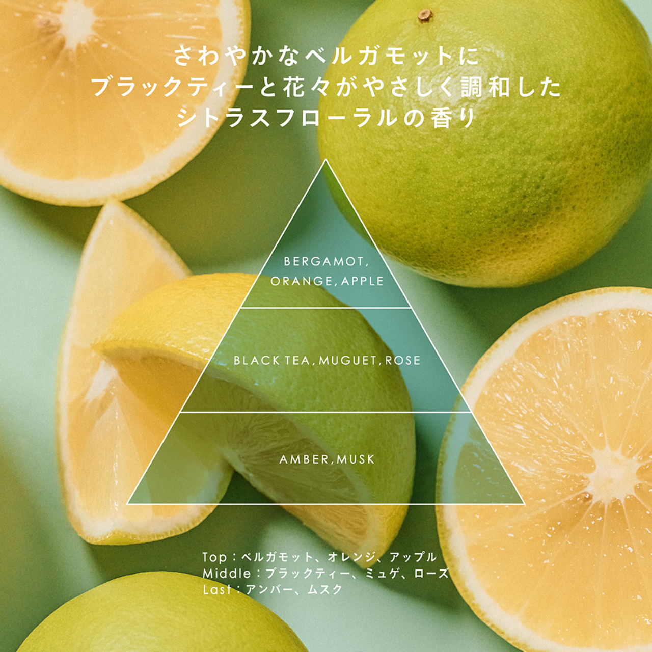 Sorule ソフニングミルク R