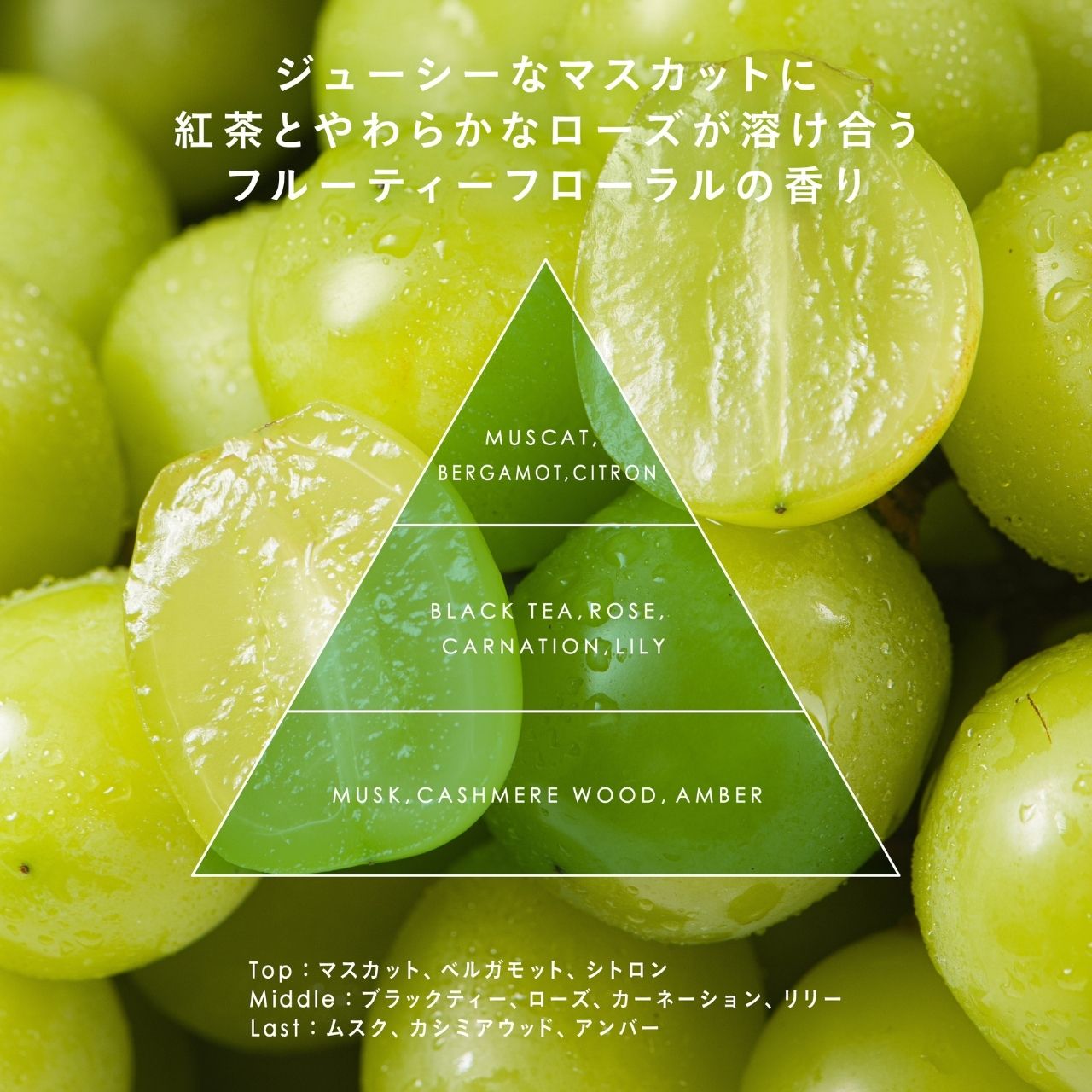 Sorule ソフニングミルク R
