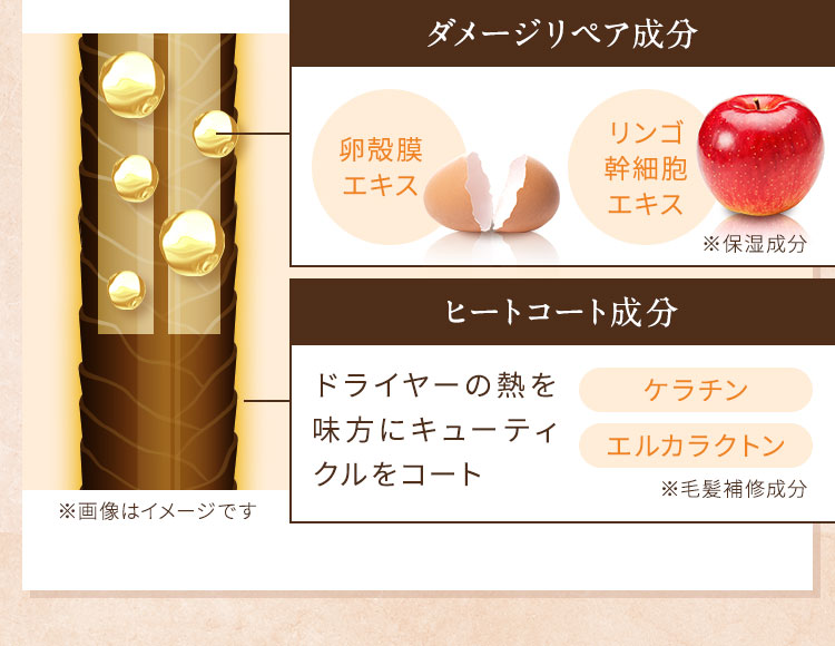 ダメージリペア成分