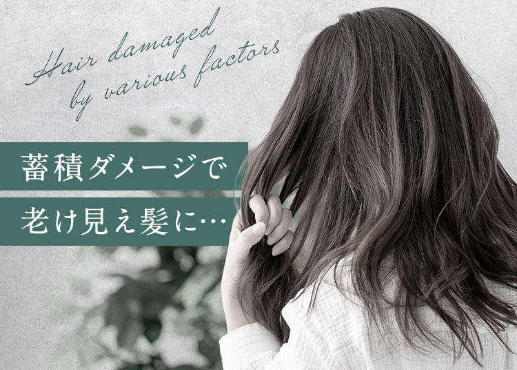 蓄積ダメージで老け見え髪に…
