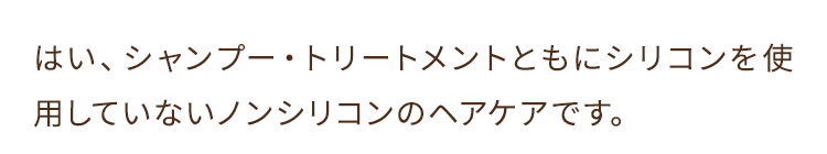 はい、シャンプー・トリートメントともにシリコンを使用していないノンシリコンのヘアケアです。