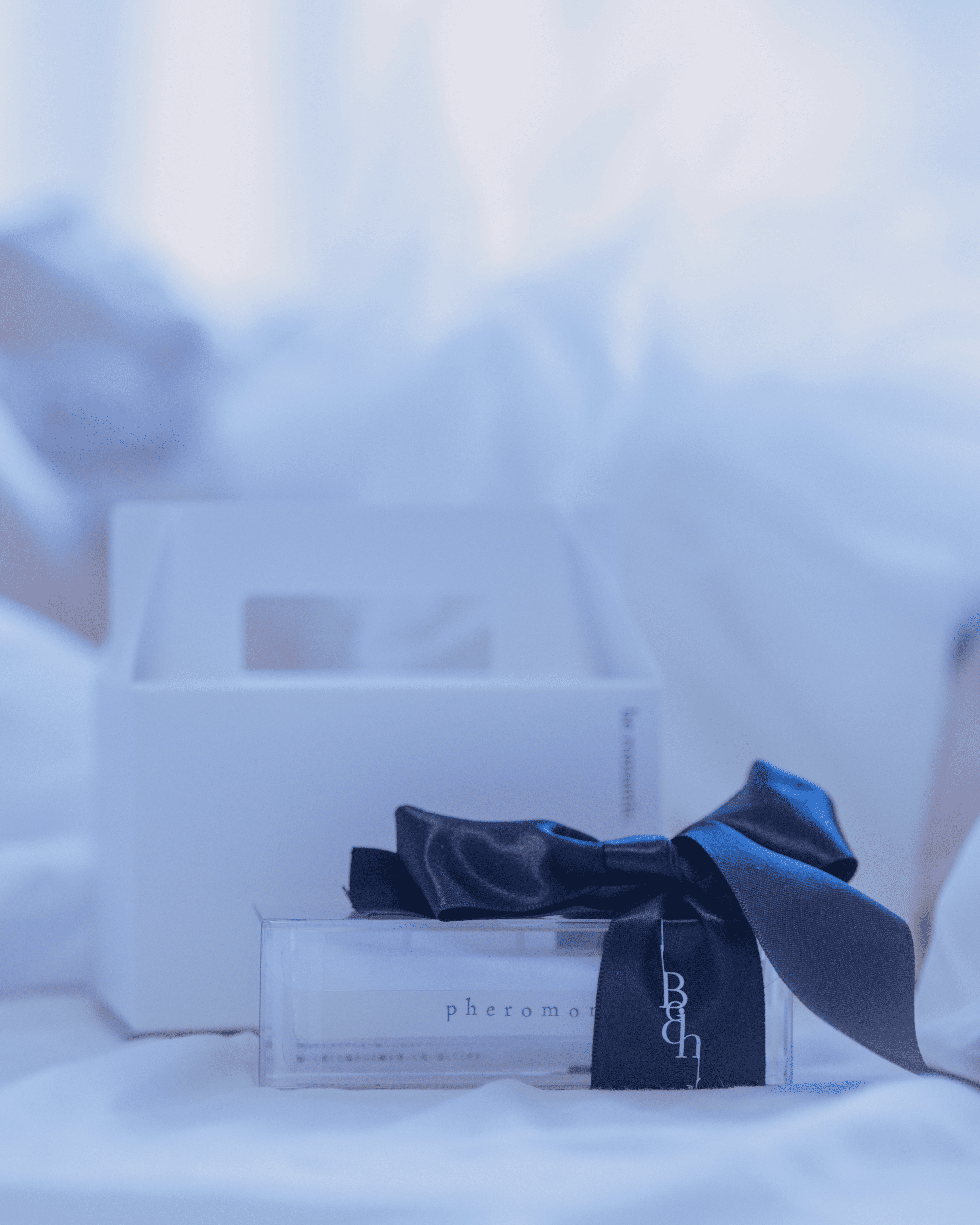 ギフトボックス