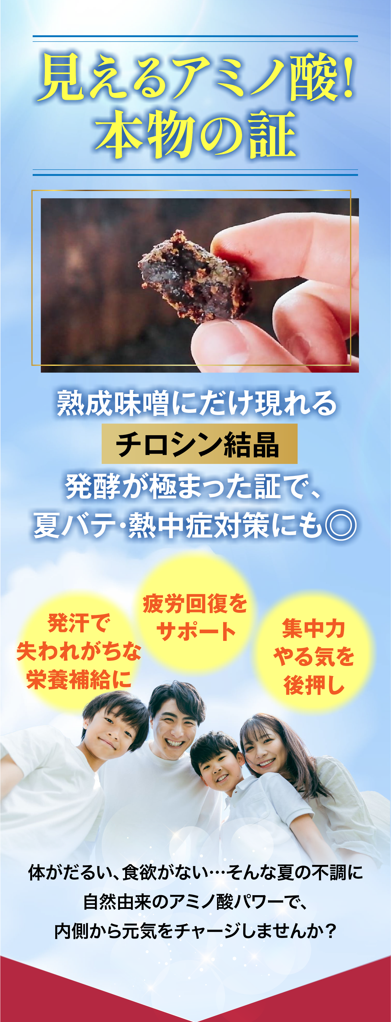 見えるアミノ酸!本文の証