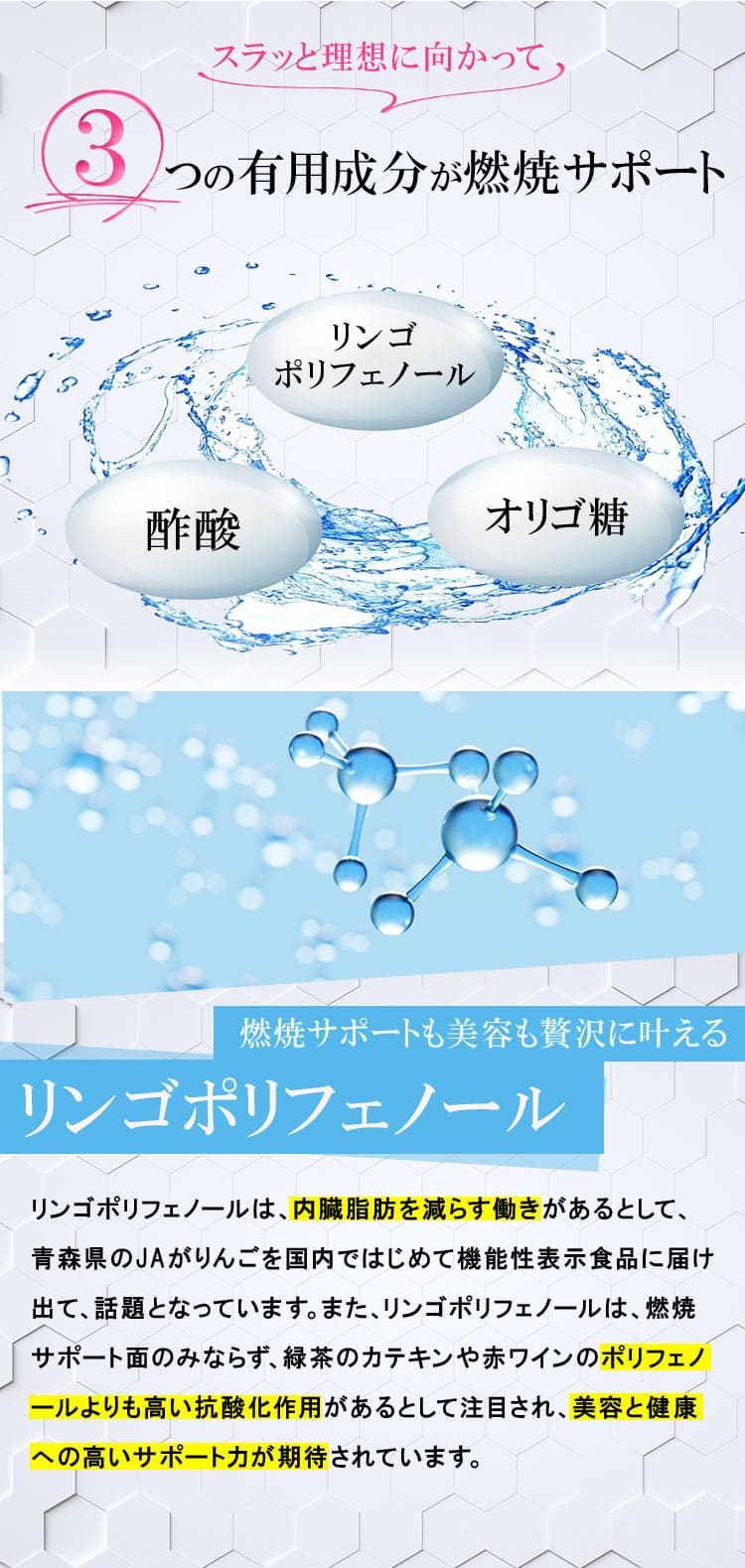 すらっと理想に向かって3つの有効成分がサポート 注目の健康美容成分プロテオグリカン