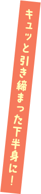 キュッと引き締まった下半身に！