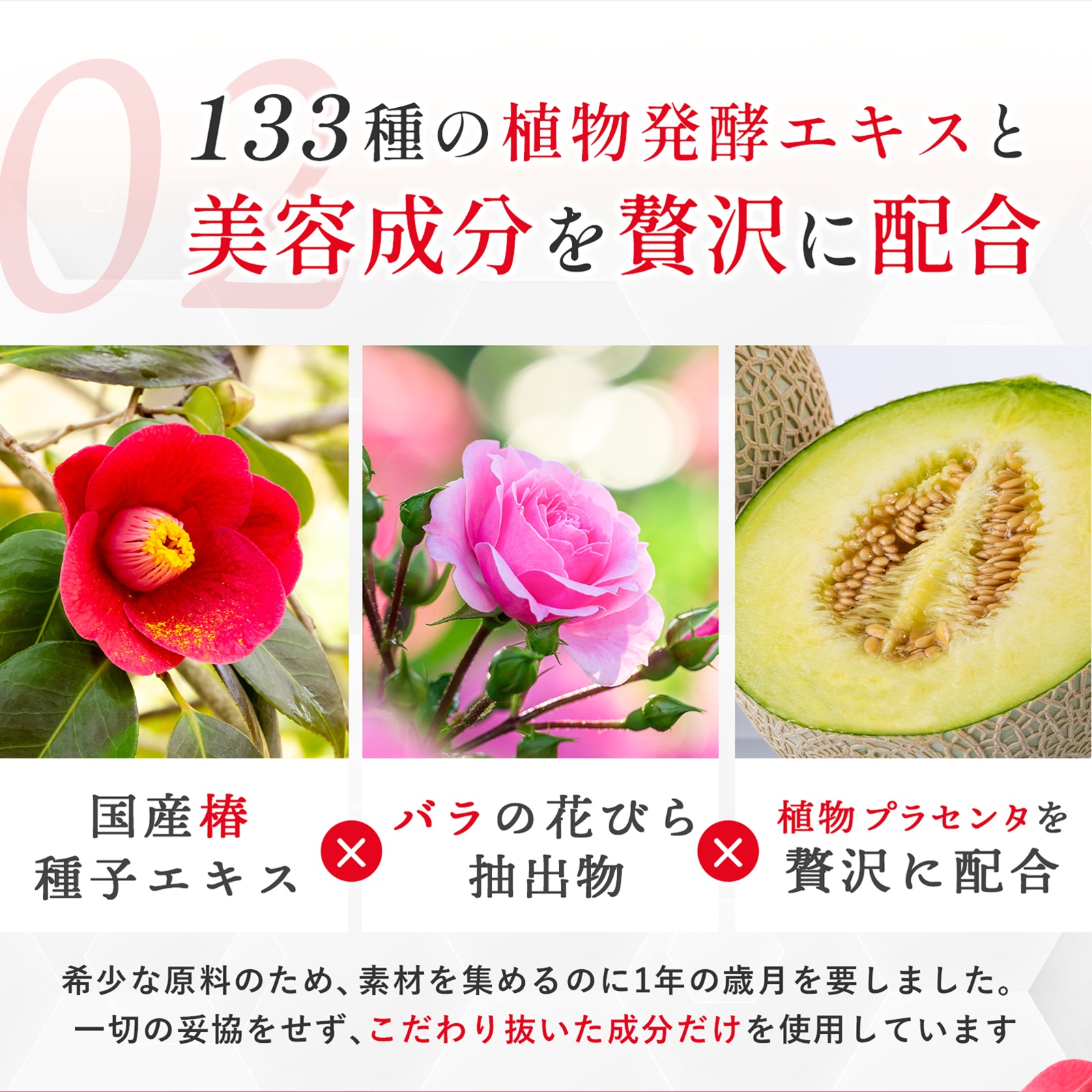 カメリアエンザイム　ブライトストロベリー味