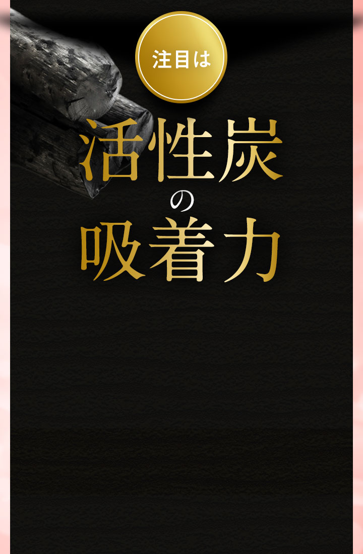 注目は活性炭の吸着力