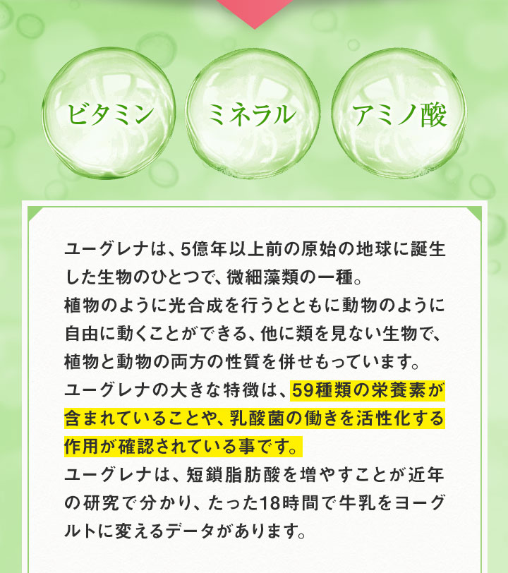 ビタミン ミネラル アミノ酸 ユーグレナは、短鎖脂肪酸を増やすことが近年の研究で分かり、たった18時間で牛乳をヨーグルトに変えるデータがあります。