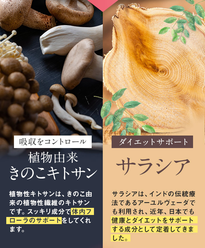 吸収をコントロール 植物由来きのこキトサン ダイエットサポート サラシア