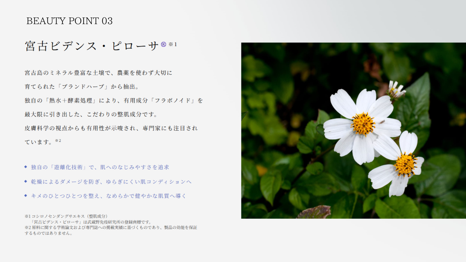 「bijueol ブースターエッセンス」 0.8㎖×35包（7包×5枚シート/35回分）