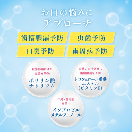 口内の悩みにトータルアプローチ