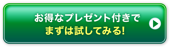 プレゼント付きでお得に試してみる