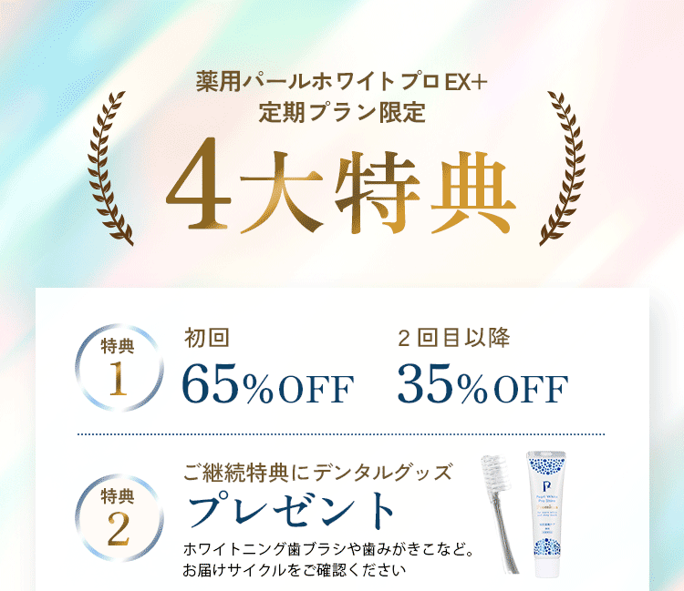 定期プラン4大特典