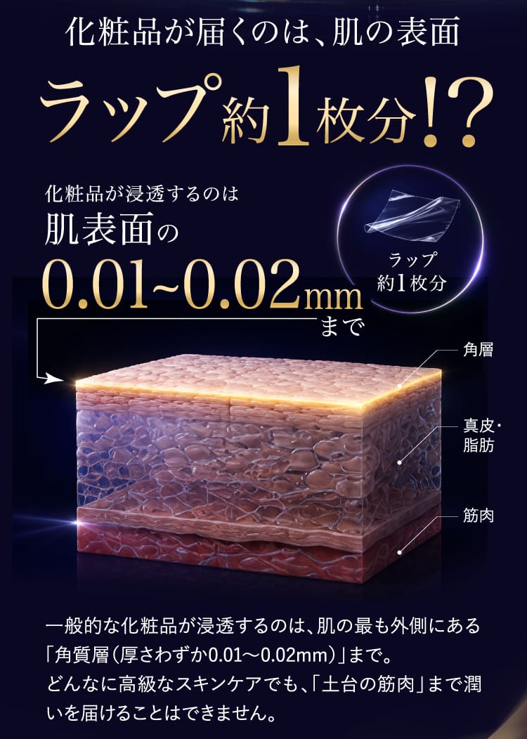 ラップ約1枚分！？