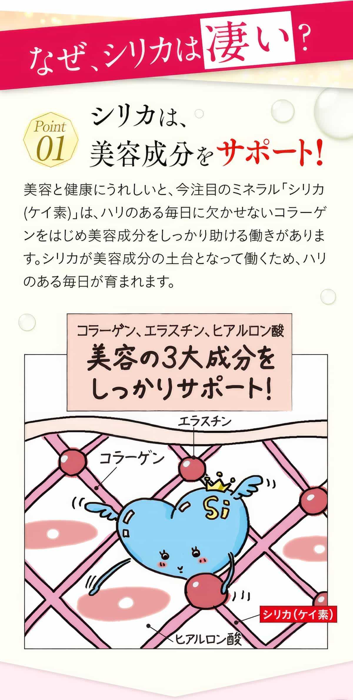 シリカは美容成分をサポート。
