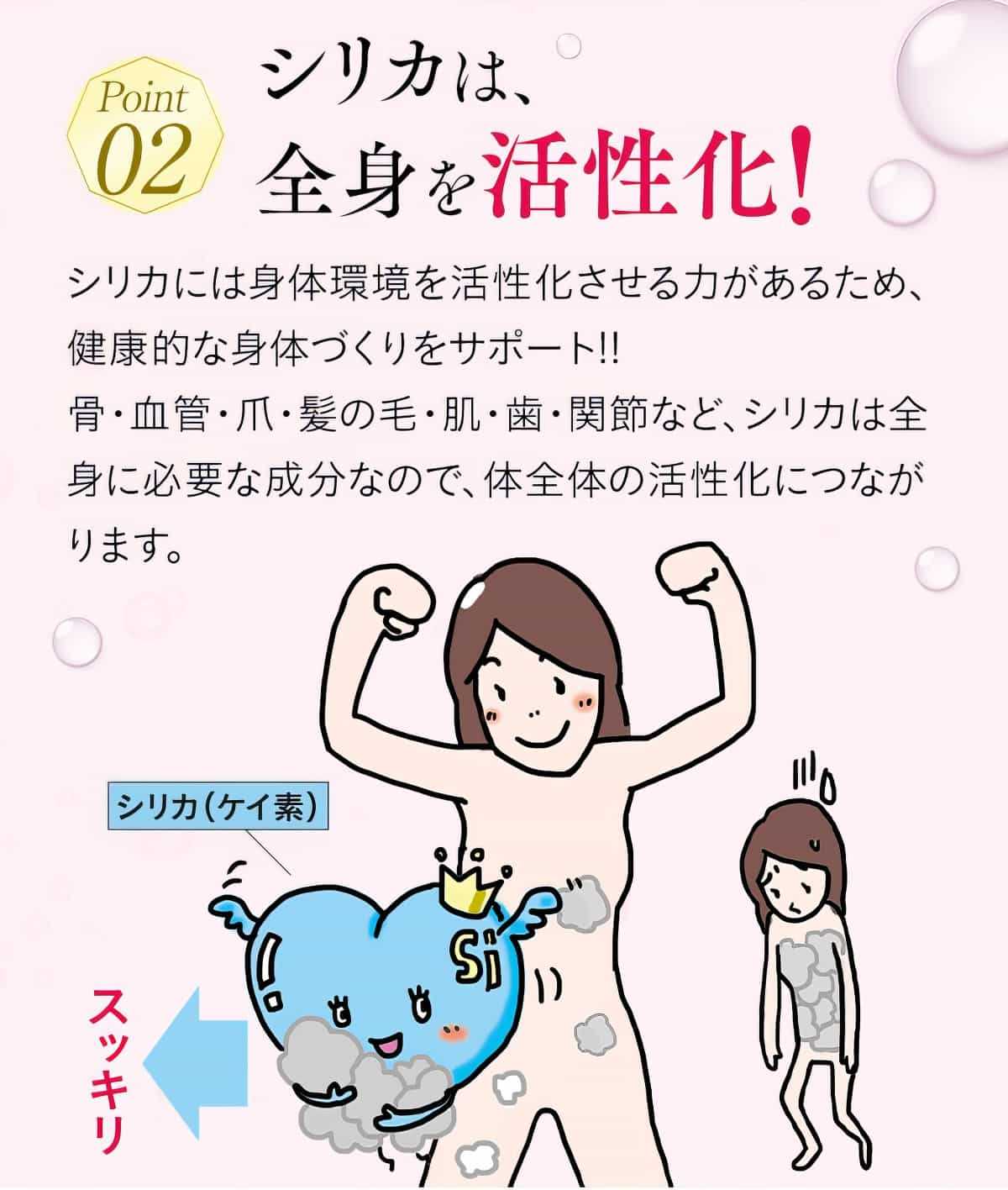 シリカは全身を活性化。