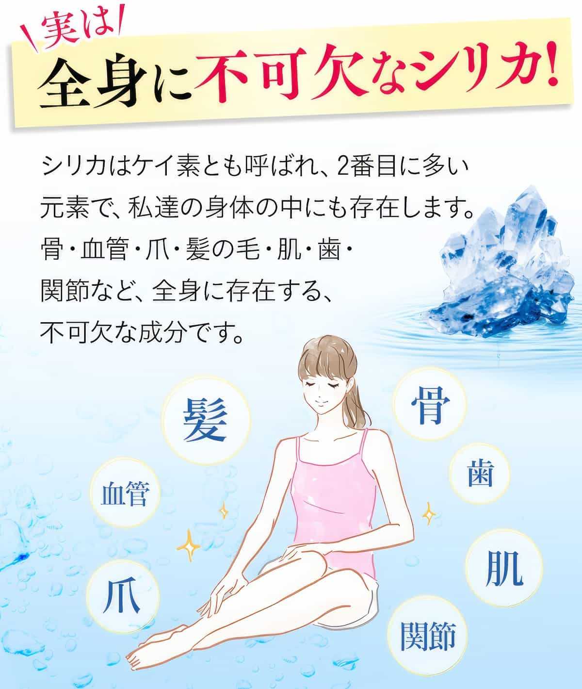 実は全身に不可欠なシリカ。