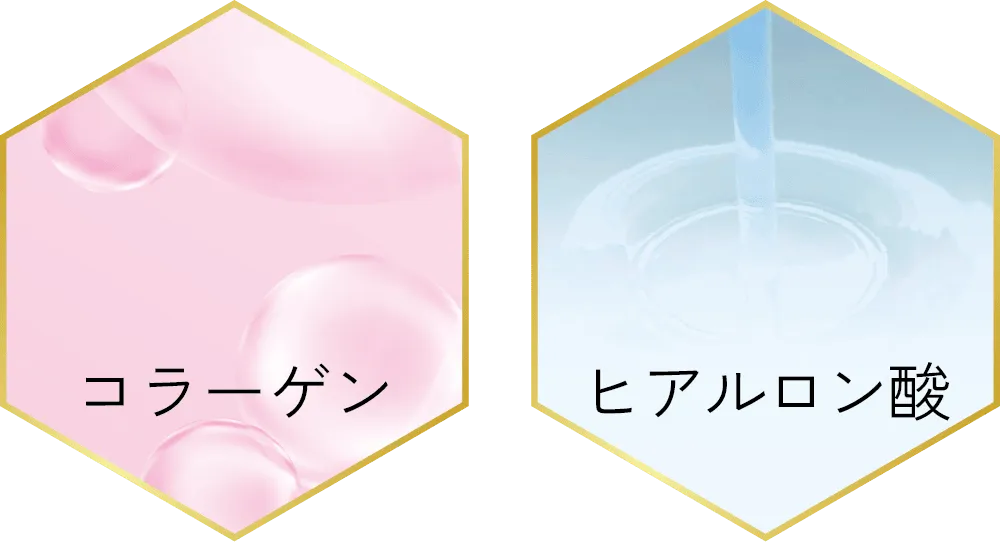 コラーゲン<sup>※1</sup> × ヒアルロン酸<sup>※2</sup><br>潤い満ちるハリ肌