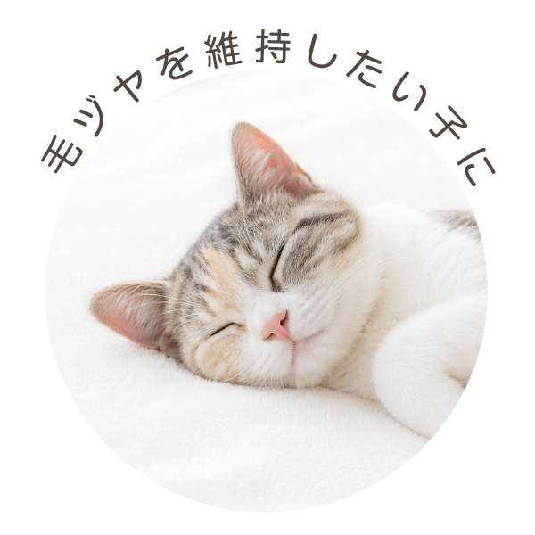 Tsuyatto　30包入　3箱セット