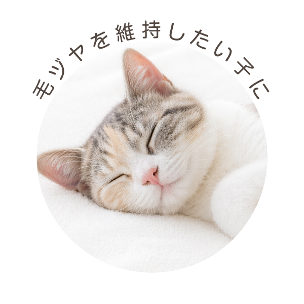 Tsuyatto　30包入