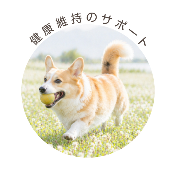 Tsuyatto　30包入