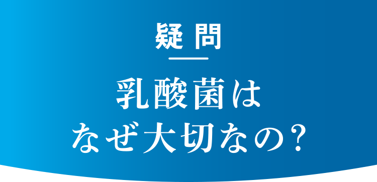 疑問：乳酸菌はなぜ大切なの？