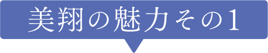 美翔の魅力その１