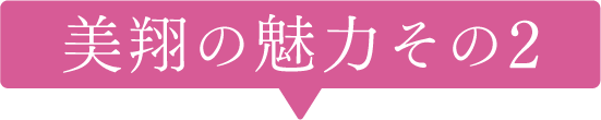 美翔の魅力その２