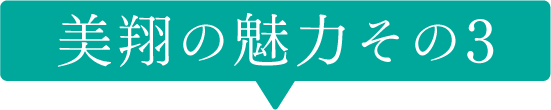 美翔の魅力その３