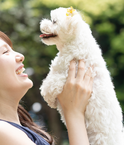 犬と飼い主