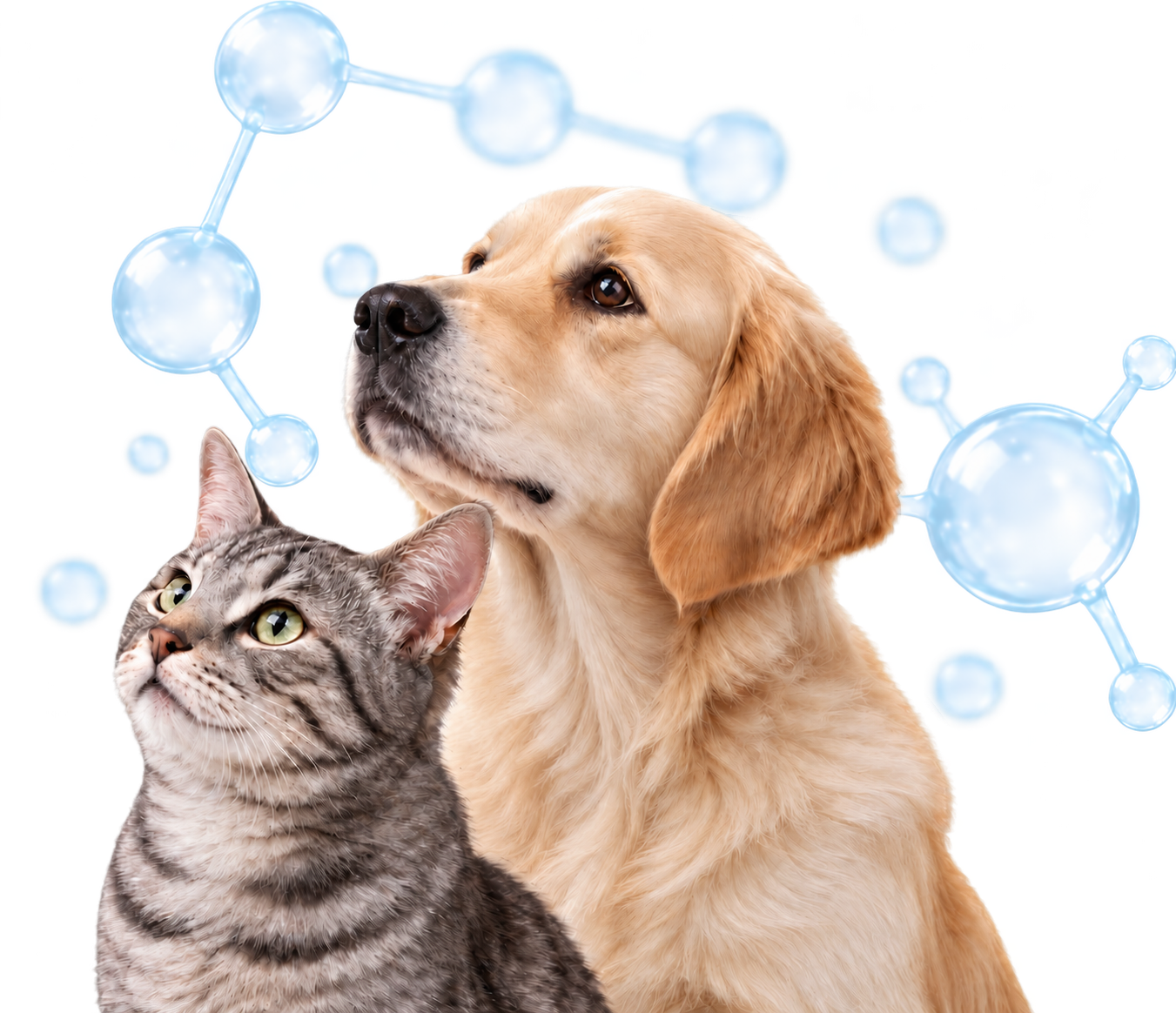 犬猫の健康を支えるFK-23。40年以上の実績と豊かなエビデンスに支えられた乳酸菌素材