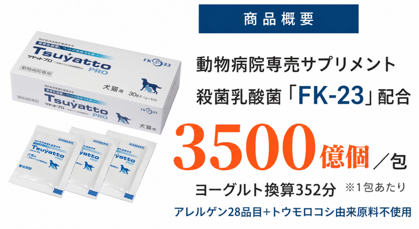 FK-23 パッケージ