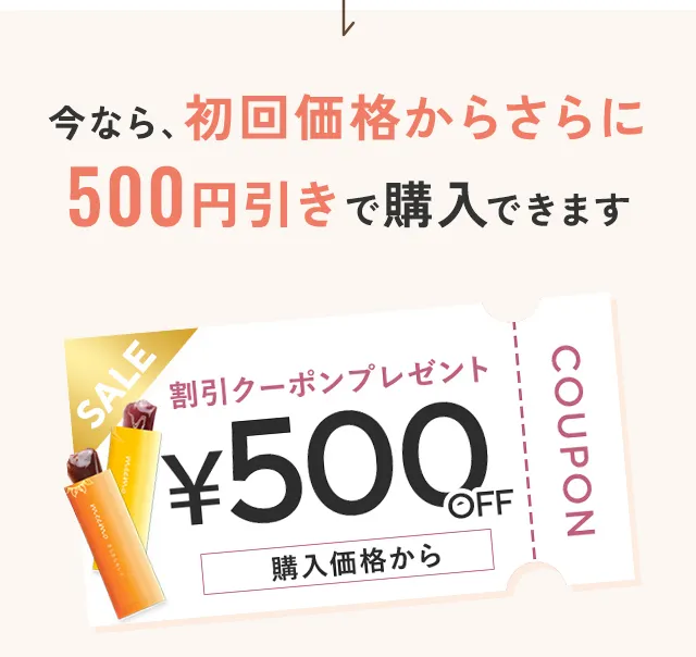 初回価格からさらに500円引きで購入できます