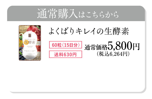 通常購入はこちら