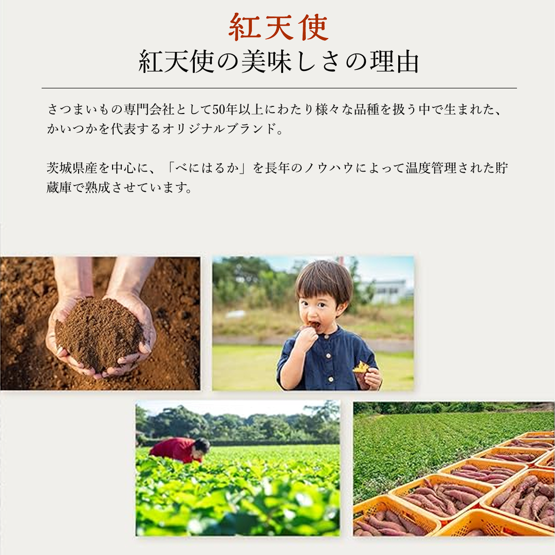 紅天使 干しいも (100g)