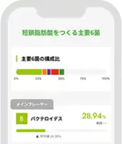 腸内細菌の割合