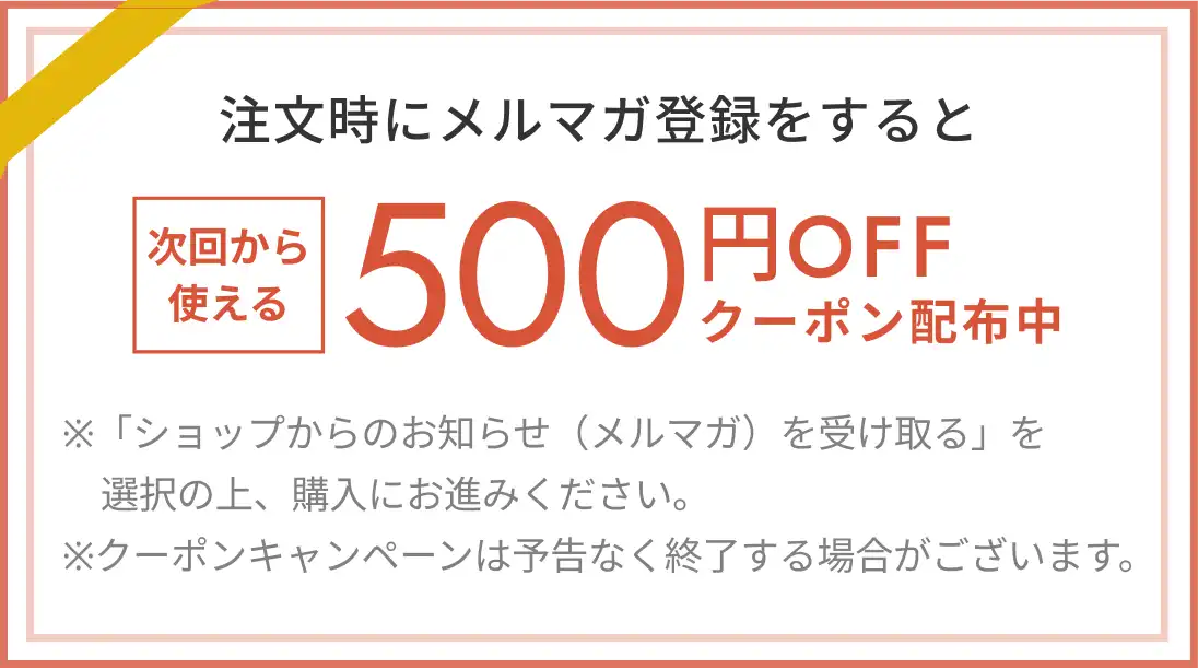 注文時にメルマガ登録をすると500円OFFクーポン配布中